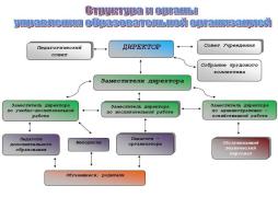 Структура и органы управления организацией